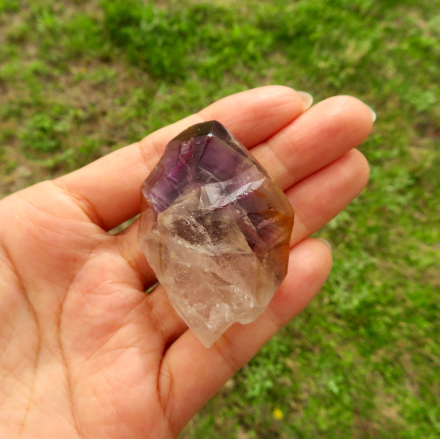 RARE Dreamcoat Lemurian Super 7 Crystal